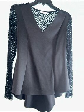 Elegant Black Lace Sleeve V-Neck Women’s Top